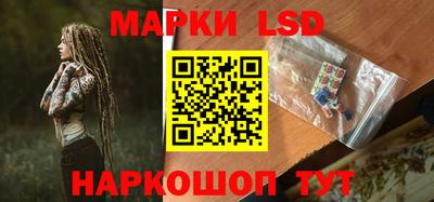 прущие грибы Нальчик