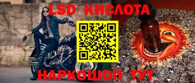 прущие грибы Нальчик