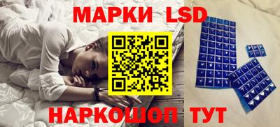 прущие грибы Нальчик