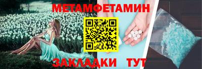 прущие грибы Нальчик